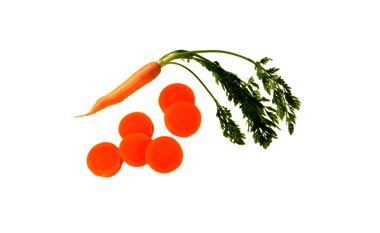 carrot