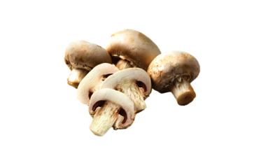 Mushrooms